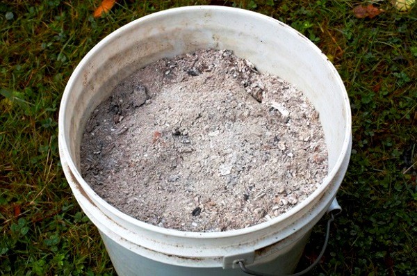 Top dressing of apple trees in the fall: timing, means and nuances