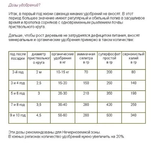 Top dressing of apple trees: what fertilizers and when to feed