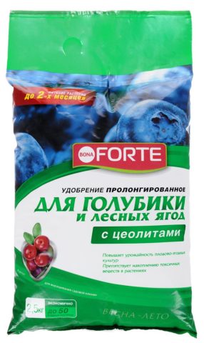 Top dressing of blueberries in garden spring, summer, autumn: types of fertilizers and application rules