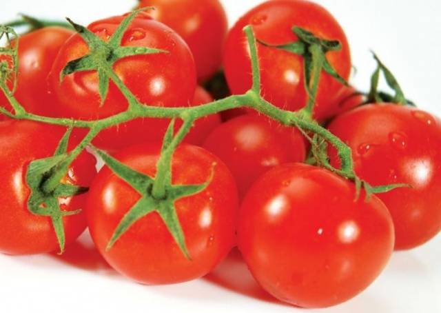 Top dressing of tomatoes: recipes, what fertilizers and when to use