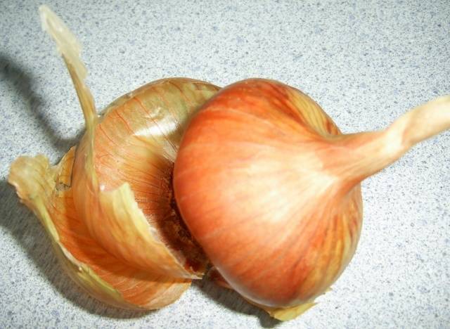 Top dressing of tomatoes with onion peel 