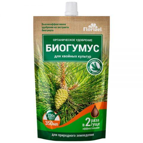 Top dressing spruce in spring and autumn