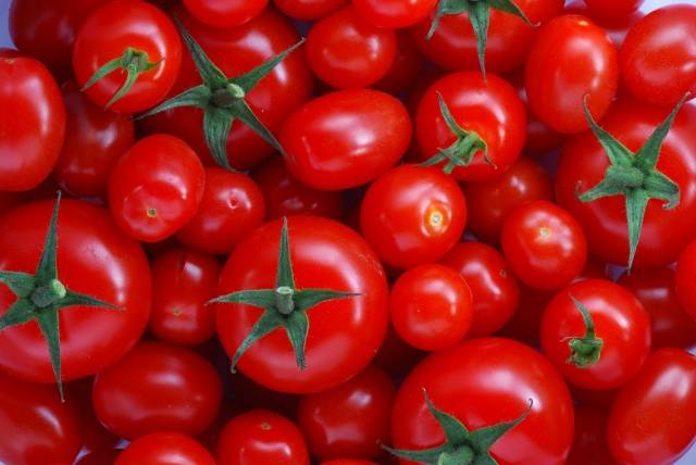 Top dressing when planting tomatoes