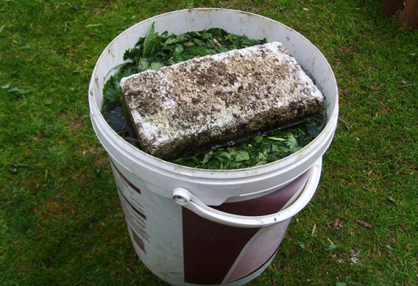 Top dressing with nettle plants: how to cook