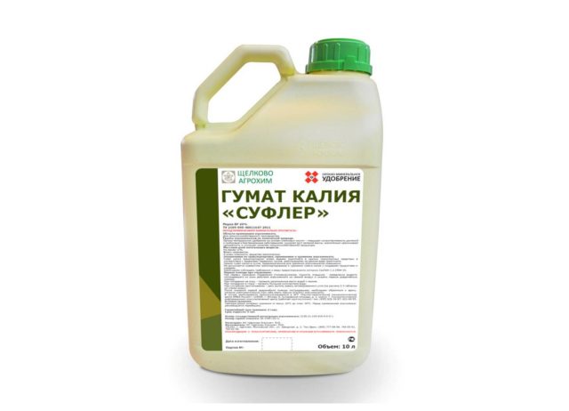 Top dressing with potassium humate: what is good, composition, instructions for use