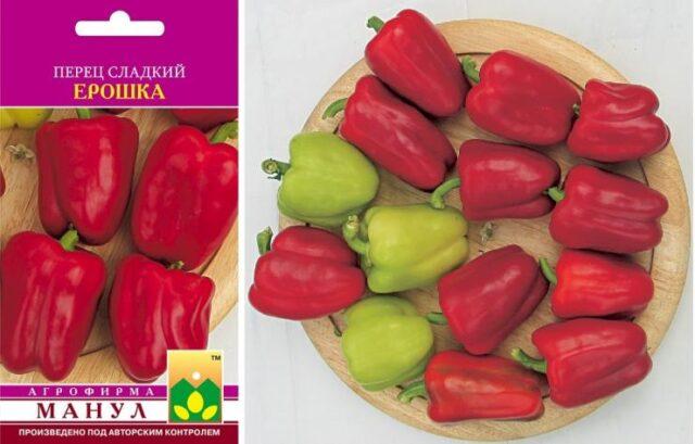 Top rot on peppers: what to do, how to treat, photo