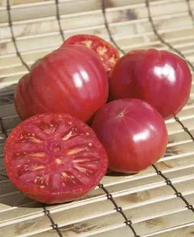 Torbay tomato F1: characteristics and description of the variety