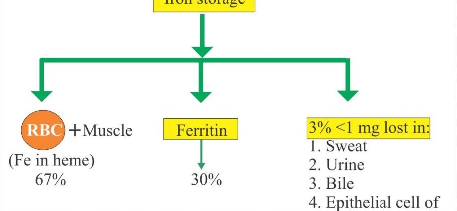 Total iron binding capacity (TIBC)