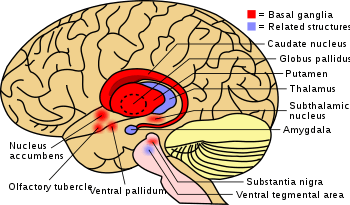 Tourette&#8217;s syndrome