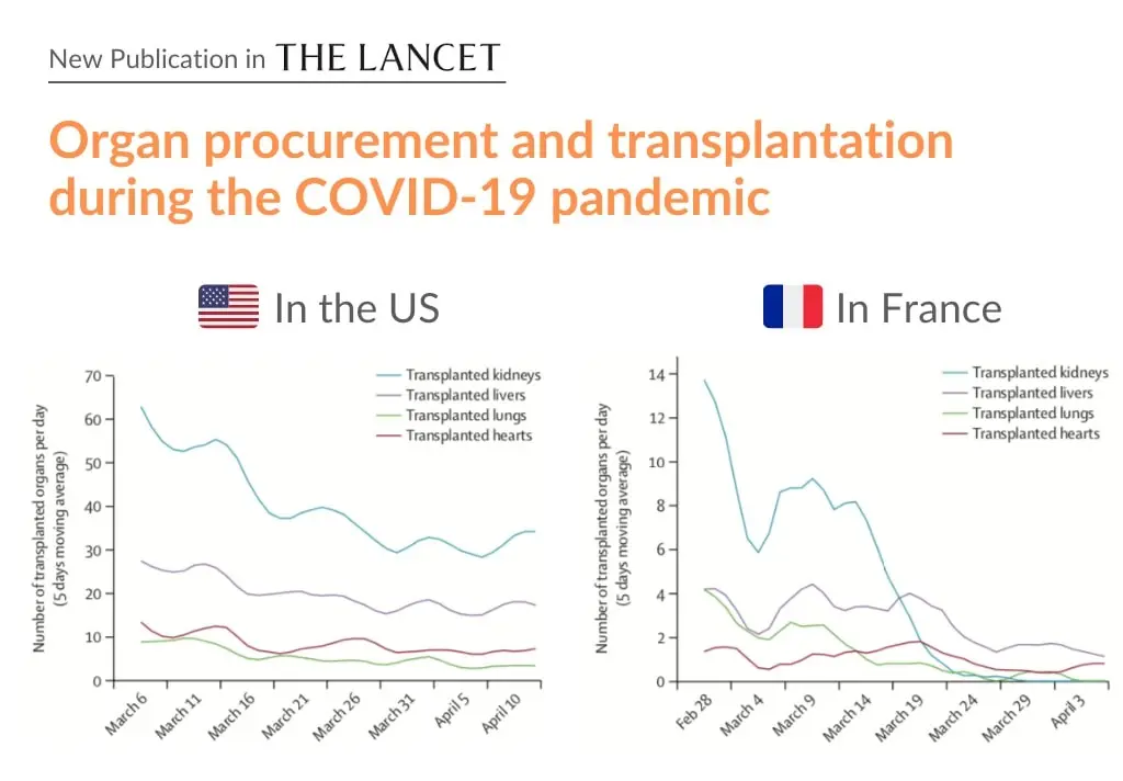 Transplantation in the era of coronavirus. The number of transplants is declining
