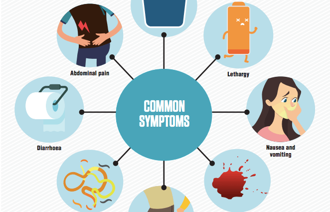 Treating one parasitic infection can worsen the symptoms of another