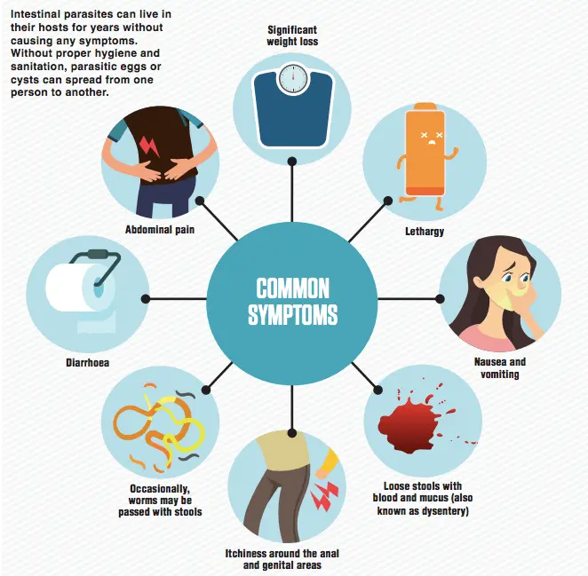 Treating one parasitic infection can worsen the symptoms of another