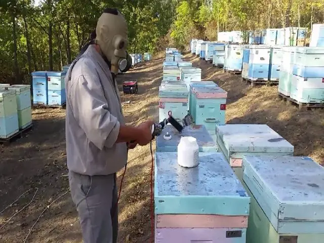 Treatment of bees with formic acid in autumn