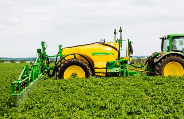 Treatment of potatoes with herbicides: the correct application