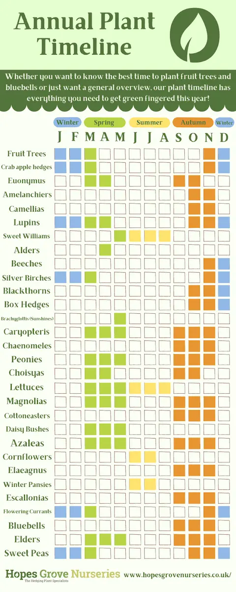 Tree Pruning Calendar 2022: Deadlines and Rules