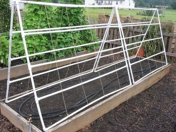 Trellis for climbing plants (metal, wood, mesh): step by step instructions + photos of original options