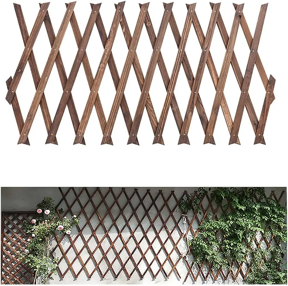 Trellis for climbing plants (metal, wood, mesh): step by step instructions + photos of original options