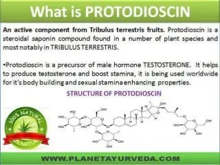 Tribulus Terrestris &#8211; active ingredients, properties, application, contraindications and side effects