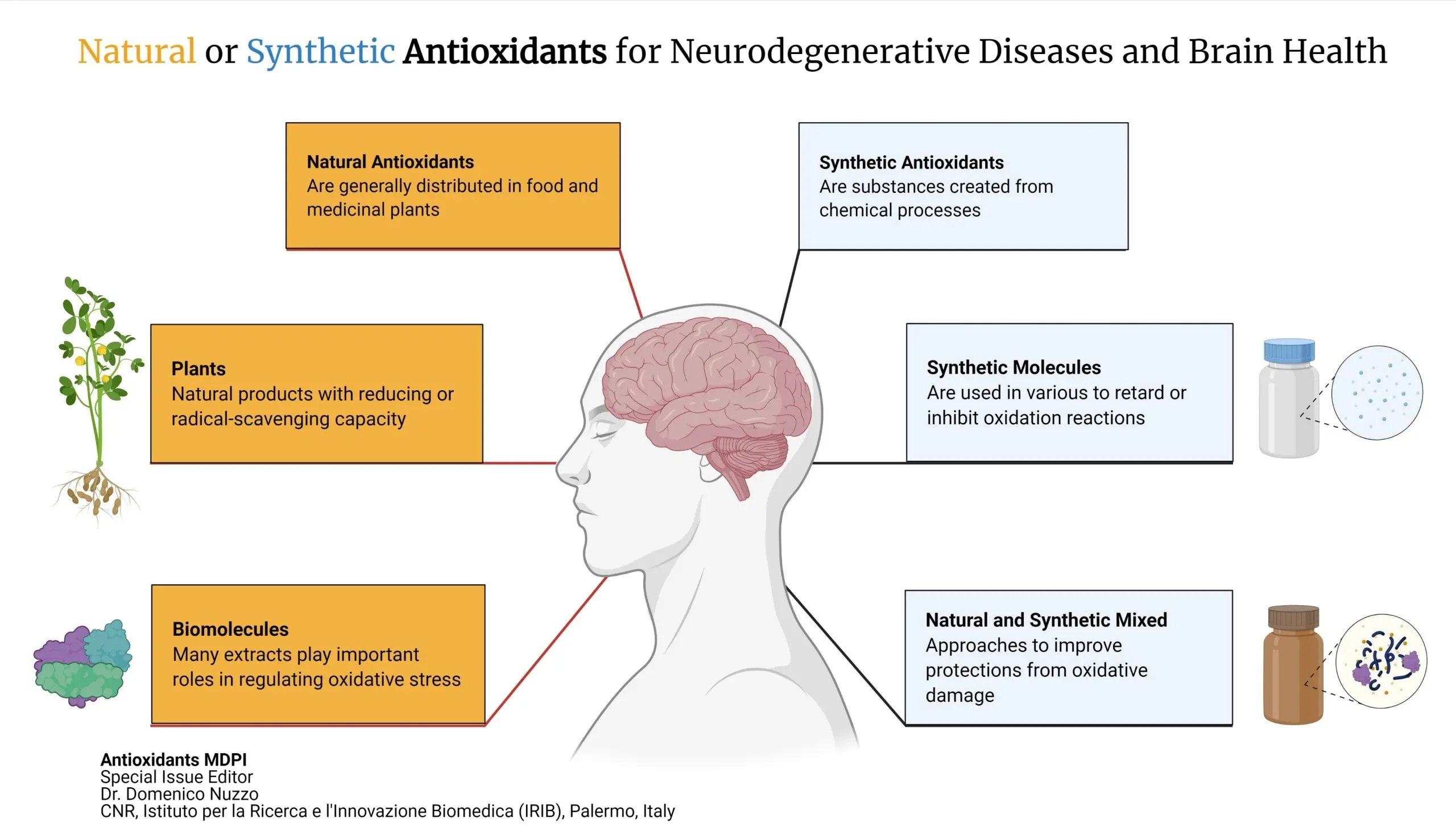 Tropical tree extract protects against neurodegeneration