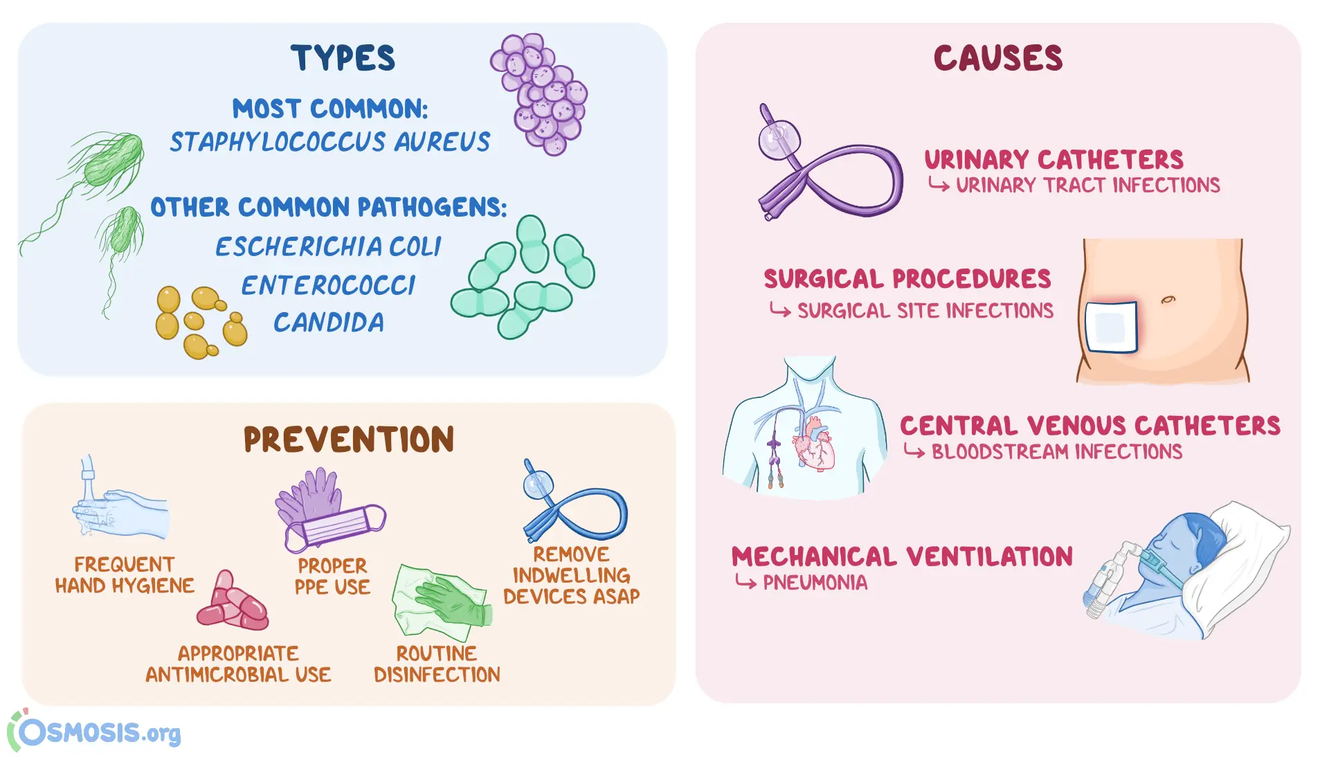 Troublesome infections &#8211; causes, treatment, effects, prevention