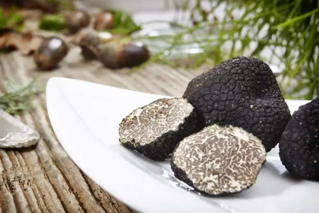 Truffle: how to grow at home in Our Country, photo and video