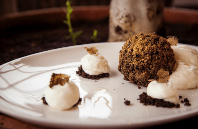 Truffle: how to grow at home in Our Country, photo and video