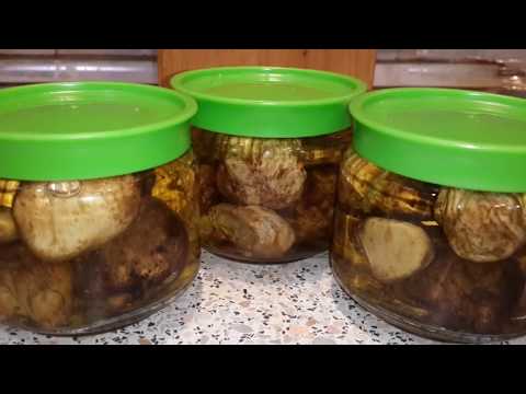 Truffle storage: terms and conditions for preserving the mushroom