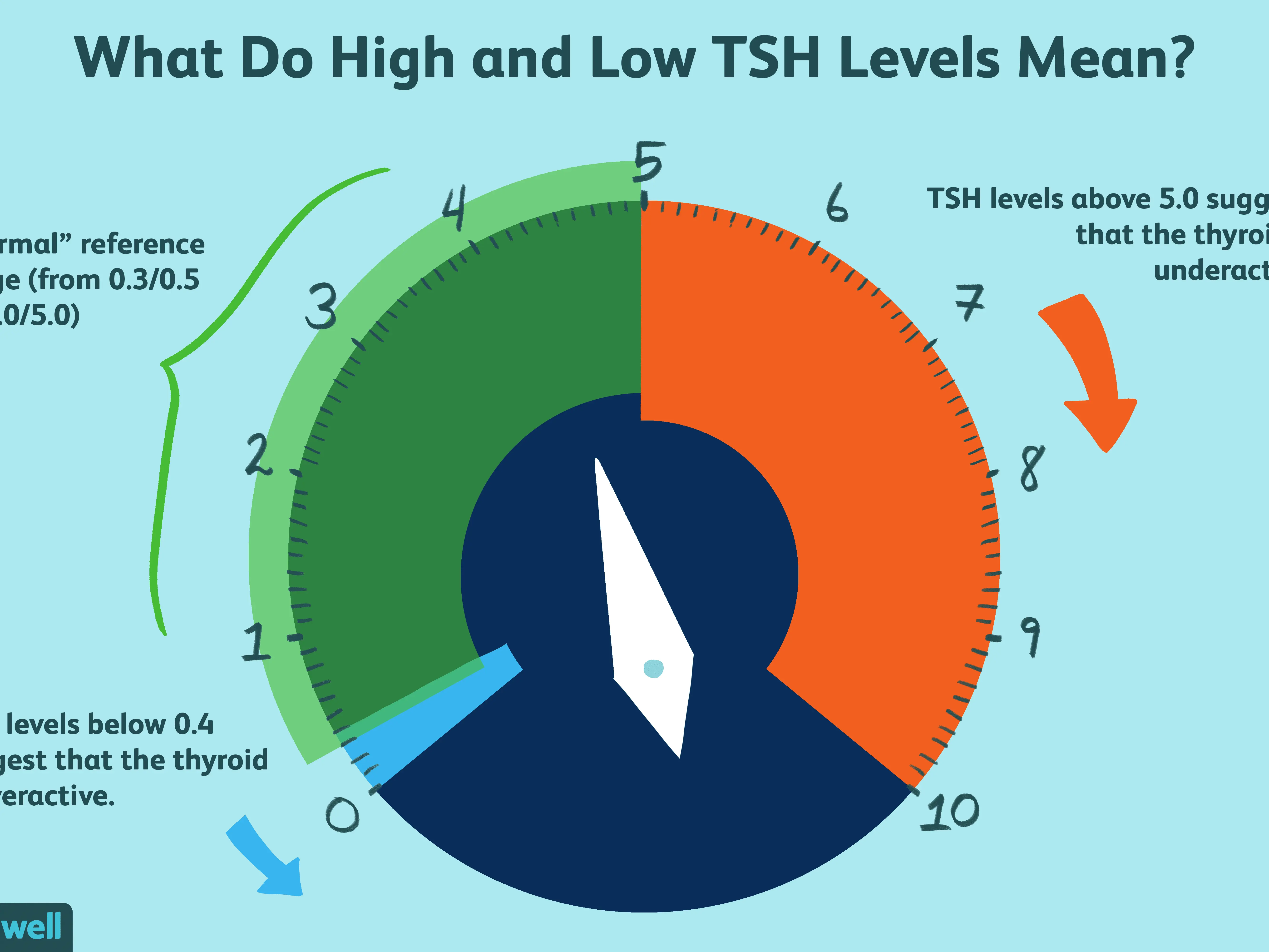 TSH &#8211; examination, standards. Symptoms of low and high TSH