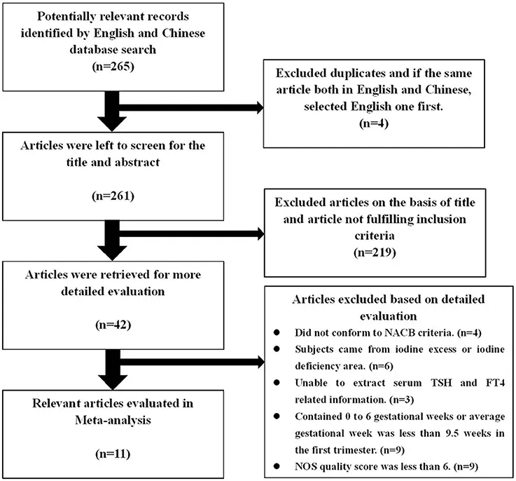 TSH in pregnancy &#8211; norms, examination and interpretation of the result