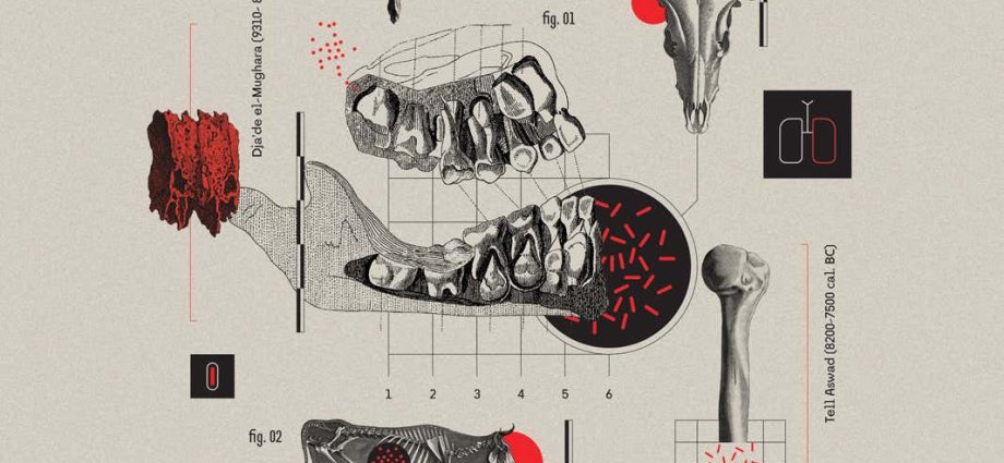 Tuberculosis &#8211; an inseparable companion of mankind