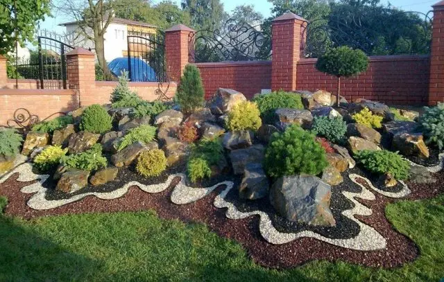 Tui and junipers in landscape design