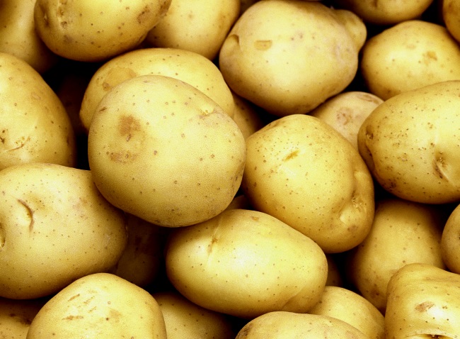 Tuleevsky potato varieties: pros and cons, yield