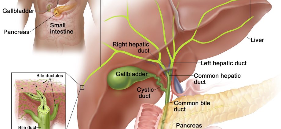 Tumors of the bile ducts