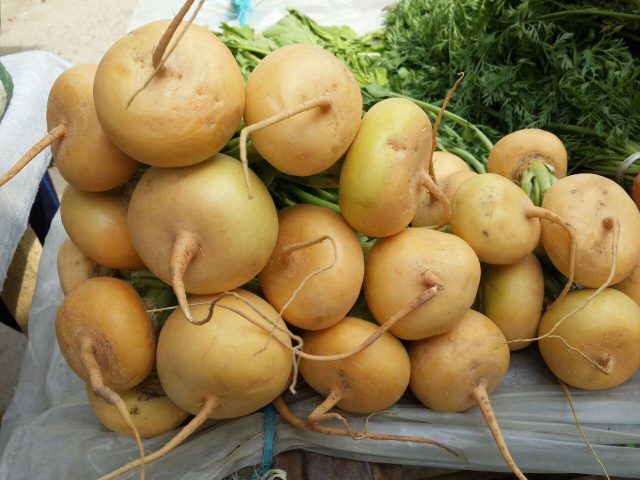 Turnip and radish: what is the difference, what is healthier