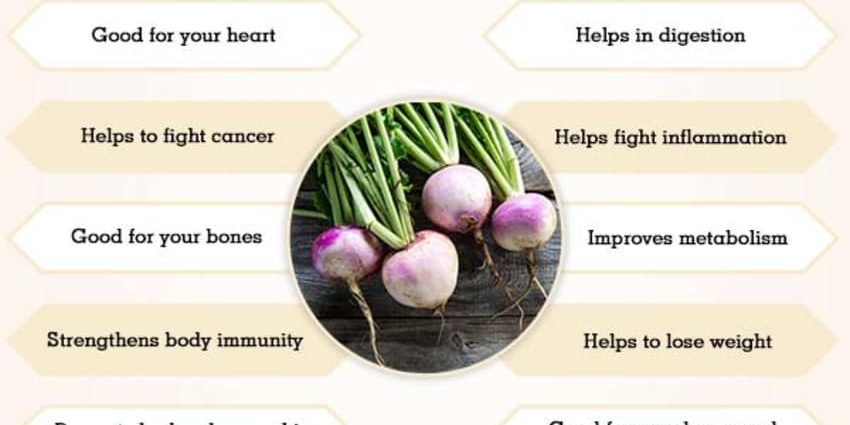 Turnip &#8211; nutritional and health properties