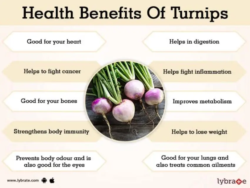 Turnip &#8211; nutritional and health properties