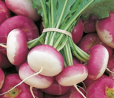 Turnip: photo, what kind of plant, cultivation, reviews