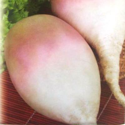 Turnip: photo, what kind of plant, cultivation, reviews