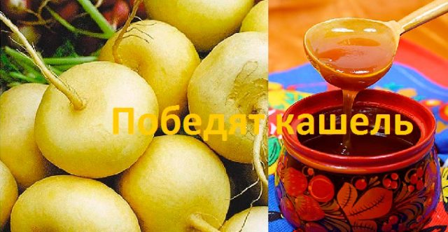 Turnip with cough honey for children and adults: how to cook, how to take