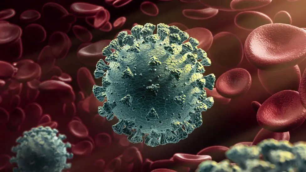 Two mutations can attack at once. BBC: first documented case of COVID-19 double infection