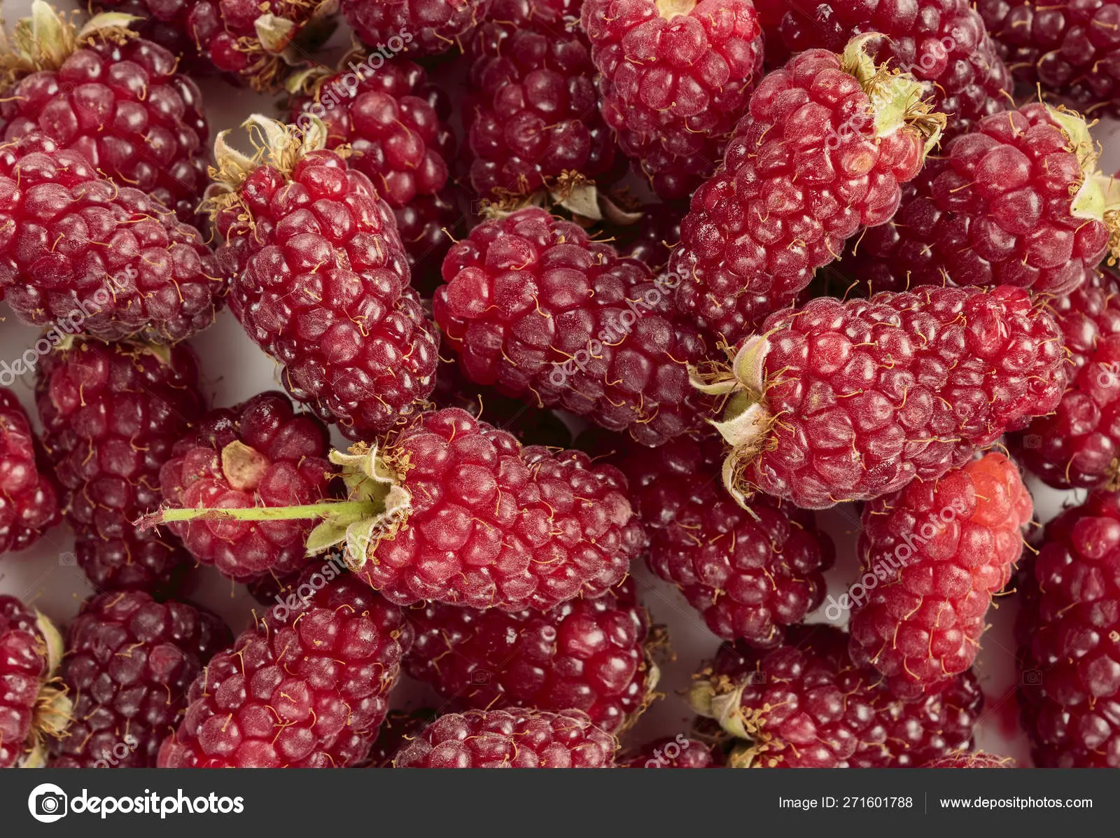 Tyberry blackberry &#8211; a wonderful hybrid of raspberries and blackberries