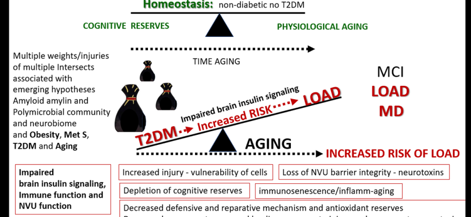 Type 2 diabetes increases the risk of Alzheimer&#8217;s disease