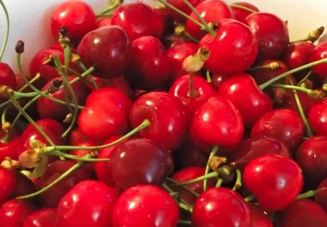 Types and varieties of cherries