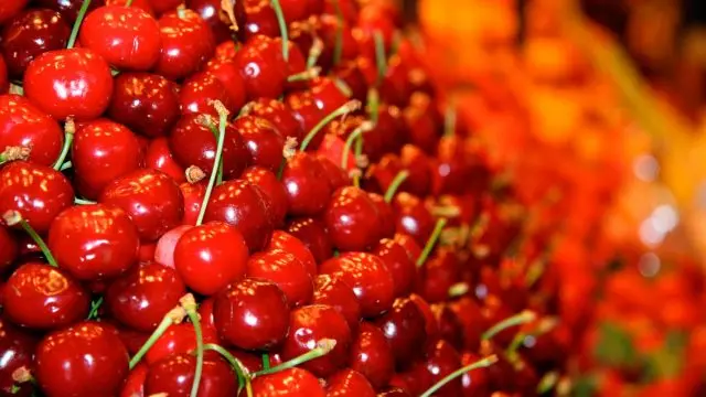 Types and varieties of cherries