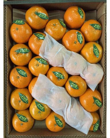 Types and varieties of tangerines: photo and description, names