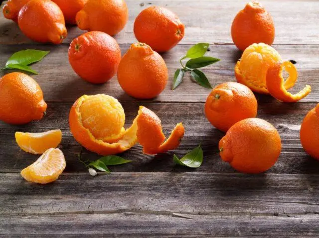 Types and varieties of tangerines: photo and description, names