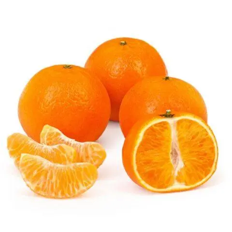 Types and varieties of tangerines: photo and description, names