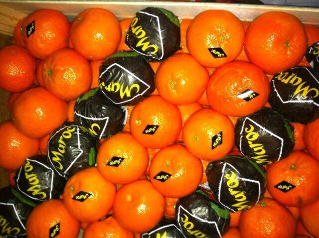 Types and varieties of tangerines: photo and description, names