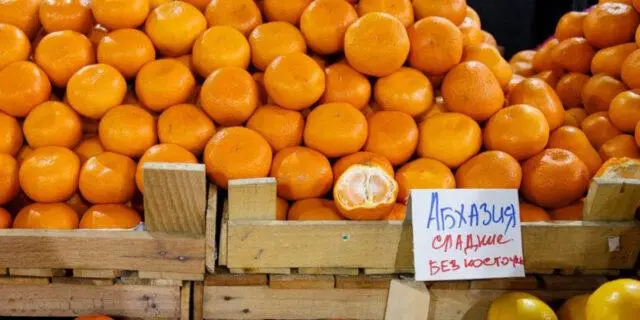 Types and varieties of tangerines: photo and description, names