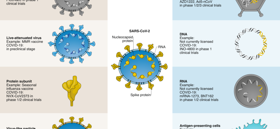 Types of COVID-19 Vaccines. How is vector different from mRNA vaccine? [WE EXPLAIN]